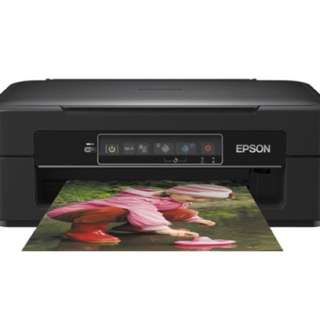 epson expression home xp245