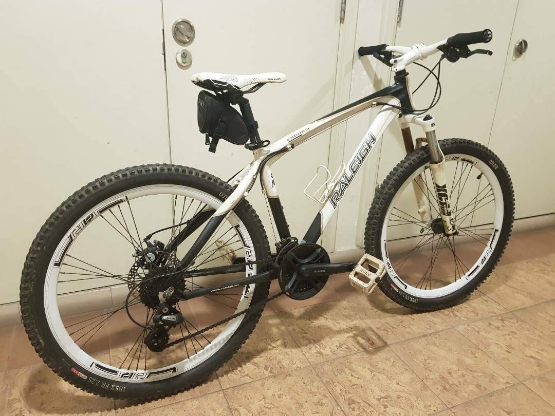 raleigh enduro pro