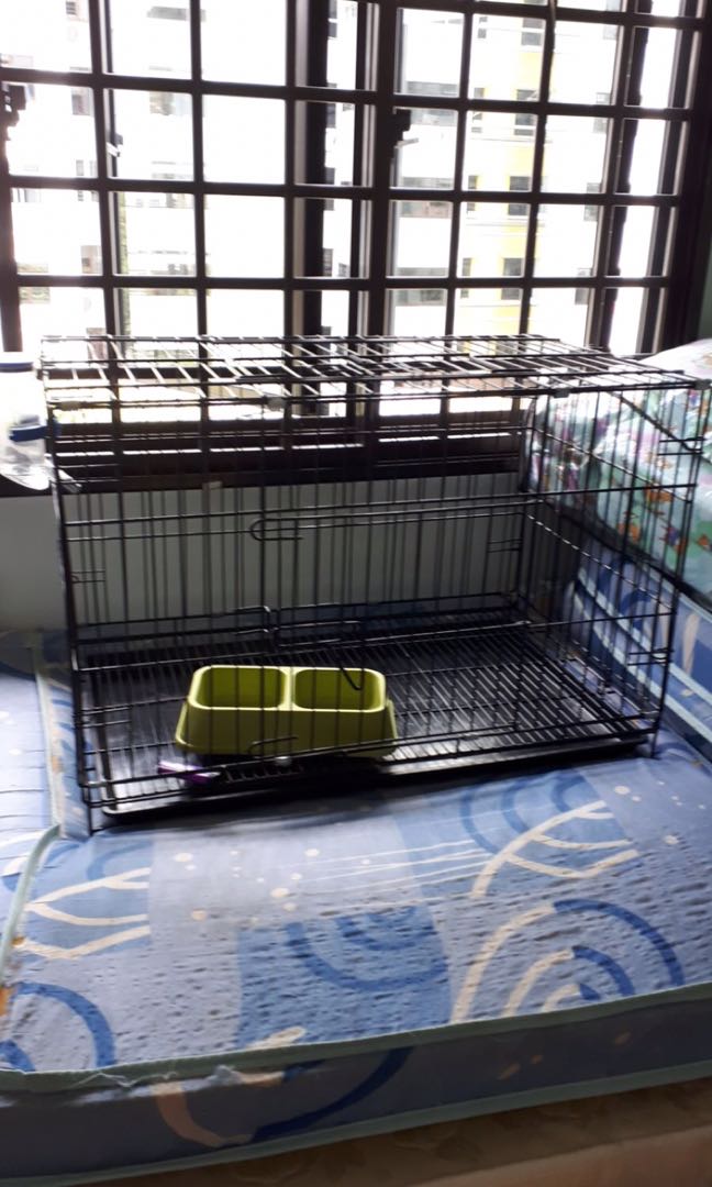 Dog cage, Pet Supplies, Homes & Other Pet Accessories on Carousell
