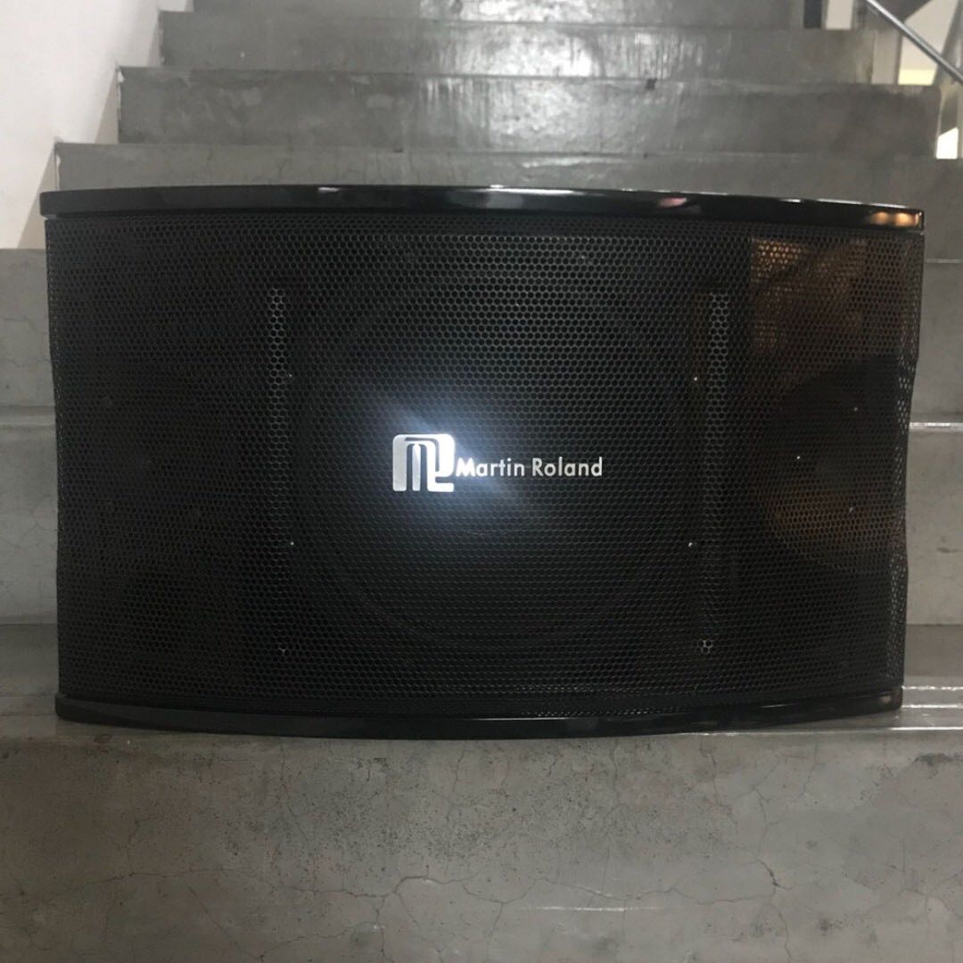 martin roland portable speaker