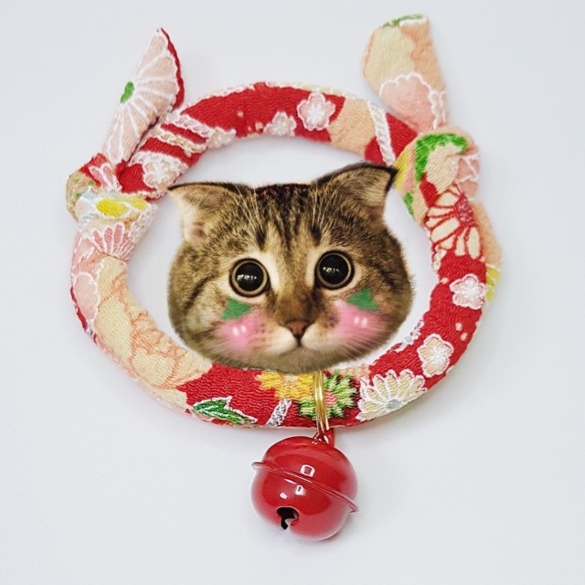 Japanese cat collar with bell - buy 2 for cheaper, Pet Supplies, Homes &  Other Pet Accessories on Carousell