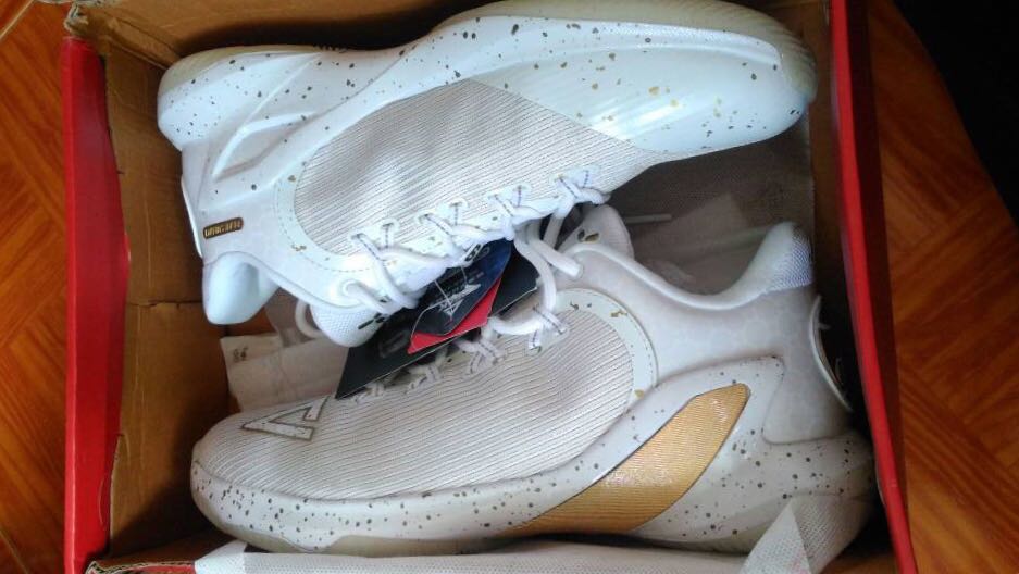 Dog basketball shoes shop