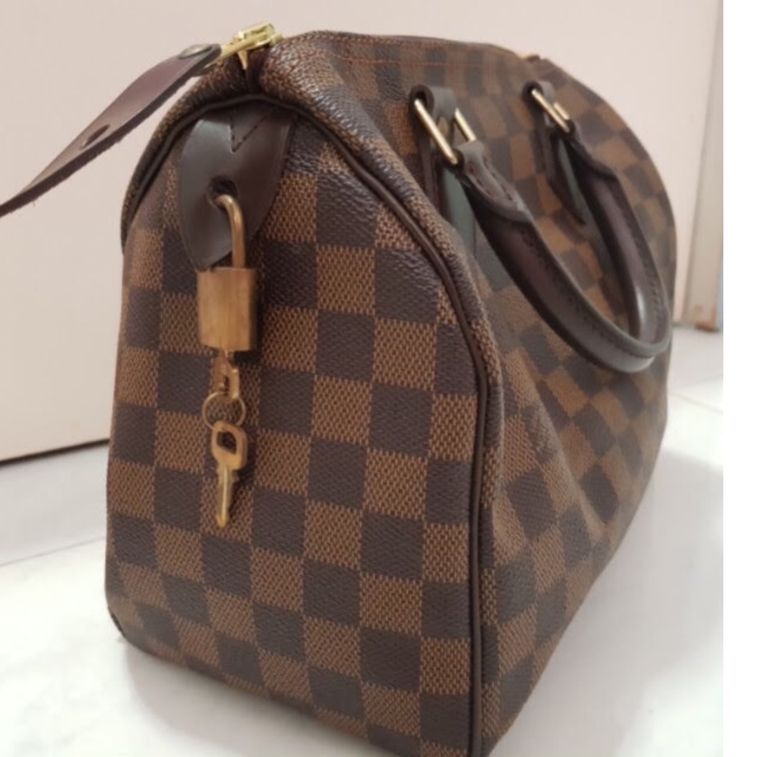 louis vuitton speedy 25 damier