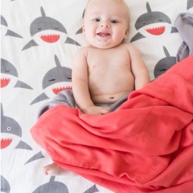 Chomp tula blanket shop