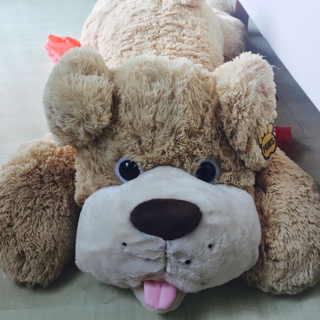 paws soft toy dog