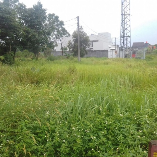Tanah Luas 769m2 Cocok Untuk Rumah Pribadi Murah Strategis Kota Wisata Cibubur Jakarta Timur Tanah Luas 769m2 Cocok Untuk Rumah Pribadi Murah Strategis Kota Wisata Cibubur Jakarta Timur