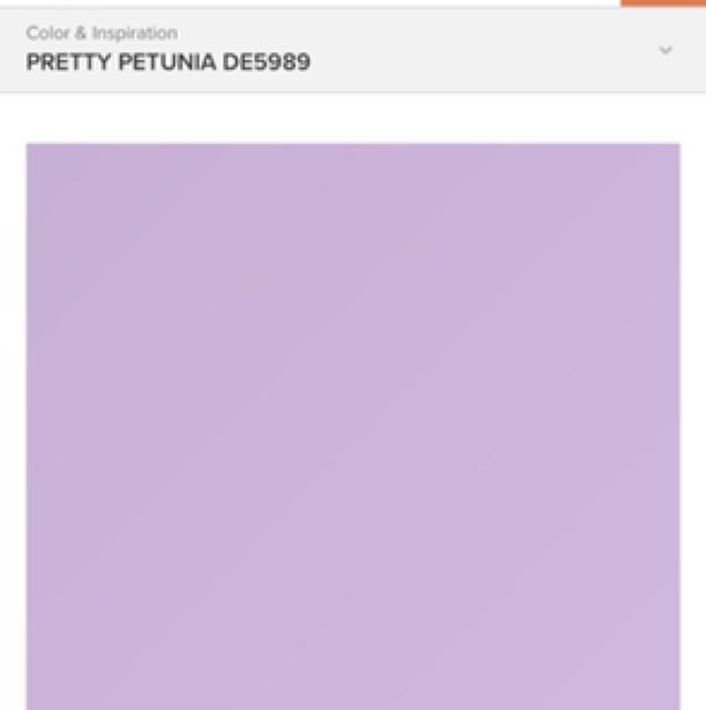 1GL DunnEdwards Everest Velvet Sheen, Furniture & Home Living, Furniture, Other Home