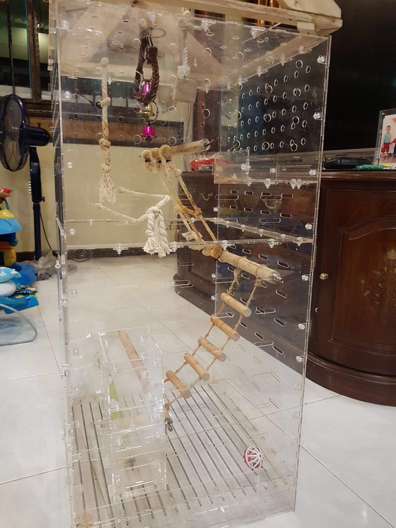 Acrylic Bird Cage