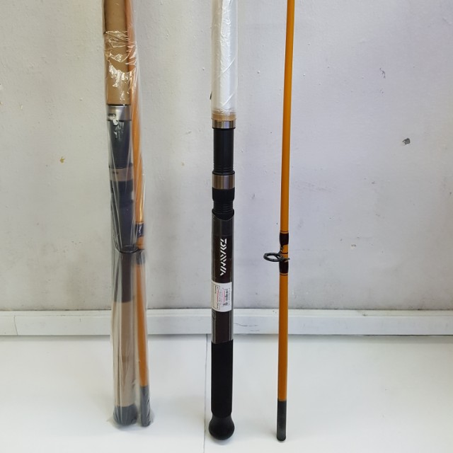 Daiwa FT Surf Series Spinning Rod