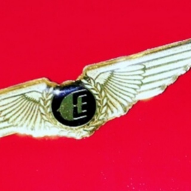 Pilot wing (Malaysia Airlines), Everything Else, Others on Carousell