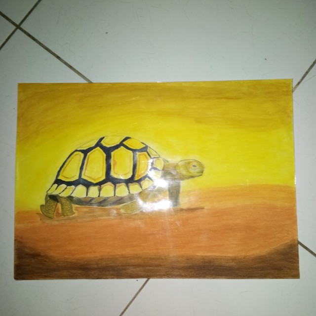 Lukisan Kura Kura Desain Kerajinan Tangan Karya Seni Di Carousell