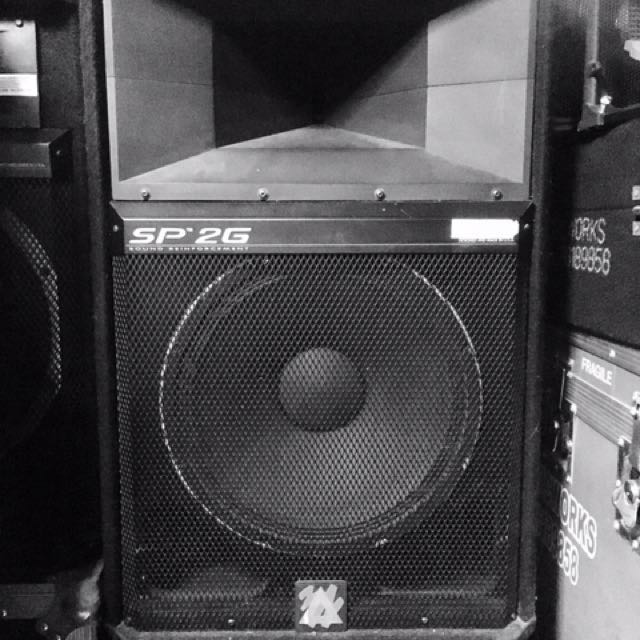 Peavey sp2g speakers top