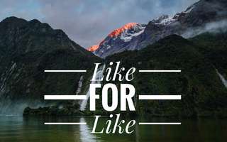 Like for Like