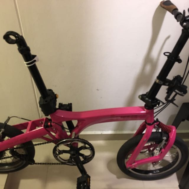 birdy frog folding bike