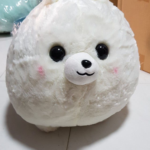 Amuse pomeranian outlet