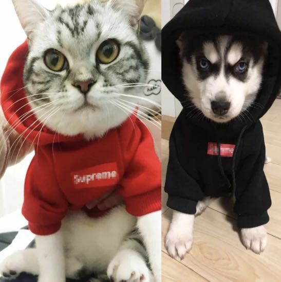 Red Supreme Hoodie Costume for Pets