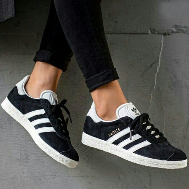 gazelle 2