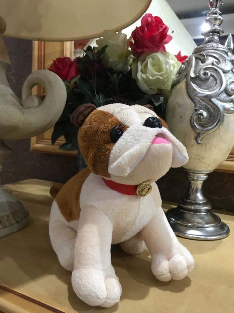 Boneka Lucu Anjing Pug Toys Collectibles Toys On Carousell