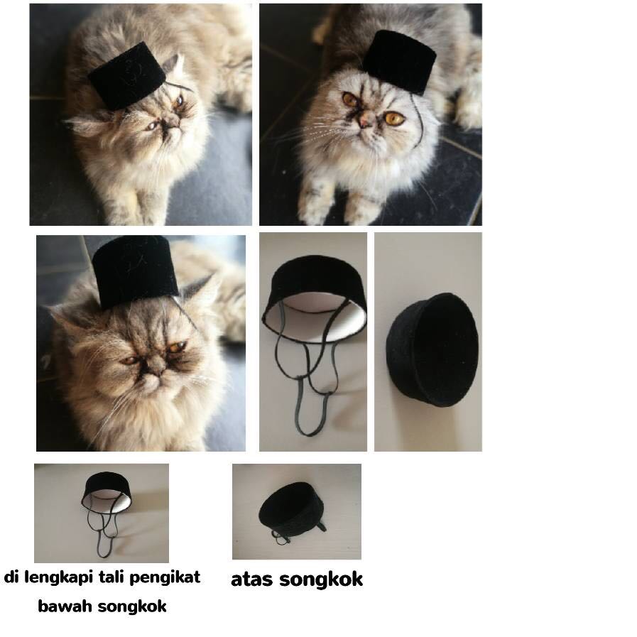 Songkok Baju Melayu Kucing, Pet Supplies, Aksesori Haiwan 