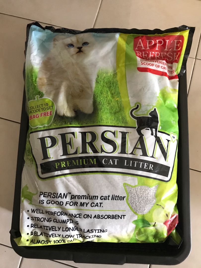 Persian cheap cat litter