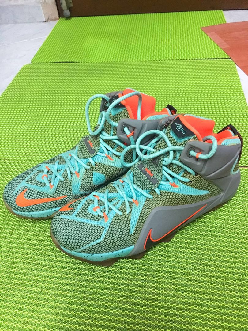Nike] Lebron James Xii Basketball Shoes, Everything Else On Carousell