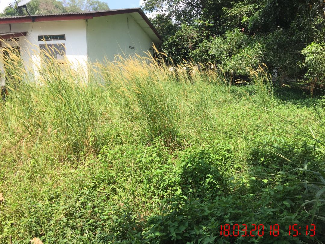 Potong Rumput Pokok Cat Rumah Bersih Laman Rumah Cuci