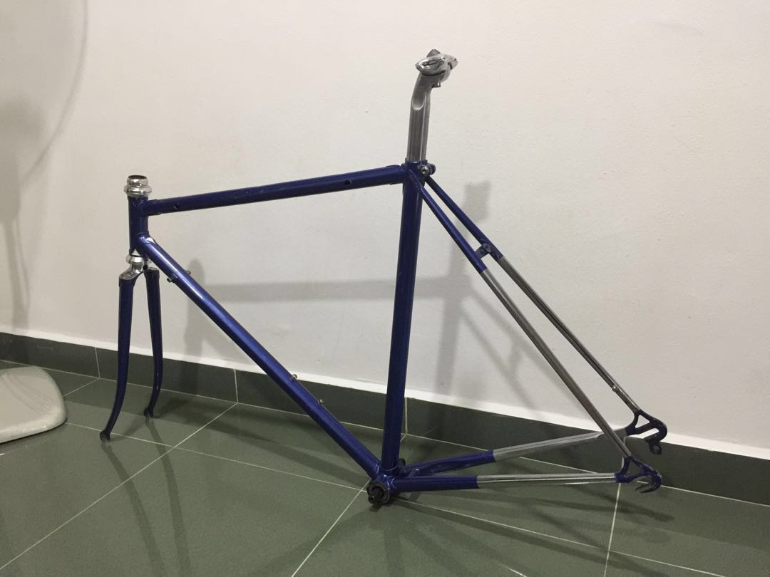 lugged steel frame