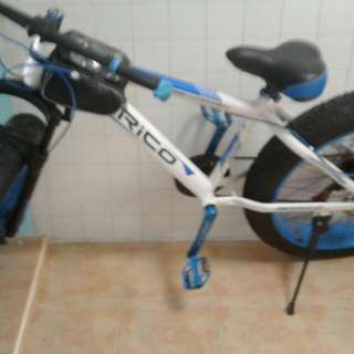 Erico fat bike