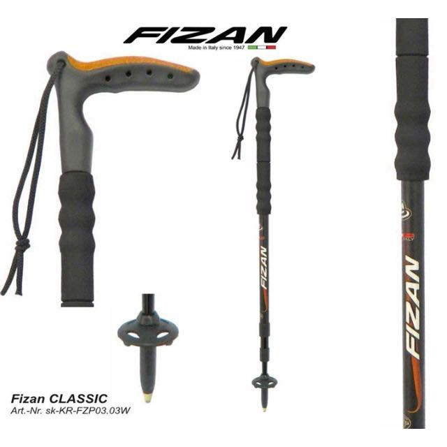 fizan walking pole