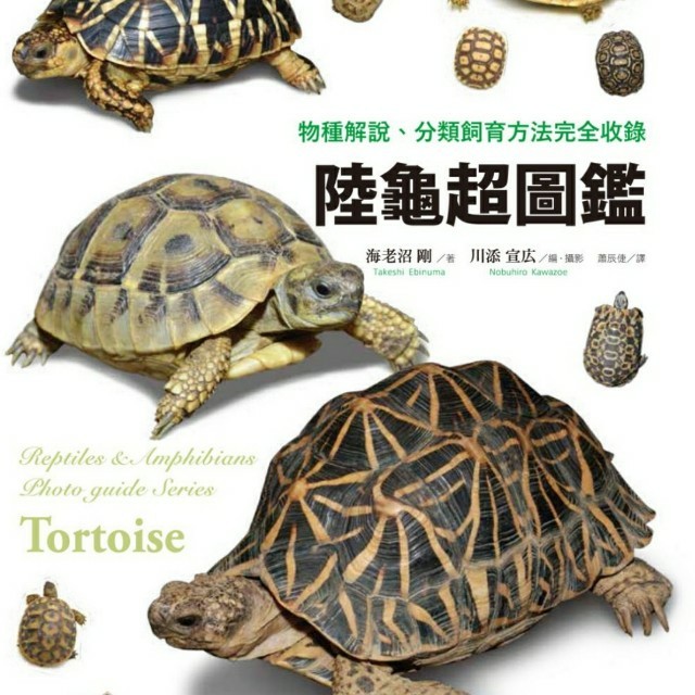 全新書 陸龜超圖鑑 物種解說 分類飼育方法完全收錄 書本 文具 雜誌及其他 Carousell