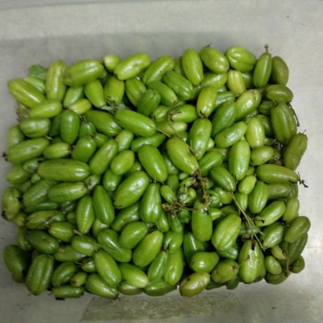 Buah Belimbing Buluh Buat Sambal Hitam Pahang Food Drinks Instant Food On Carousell