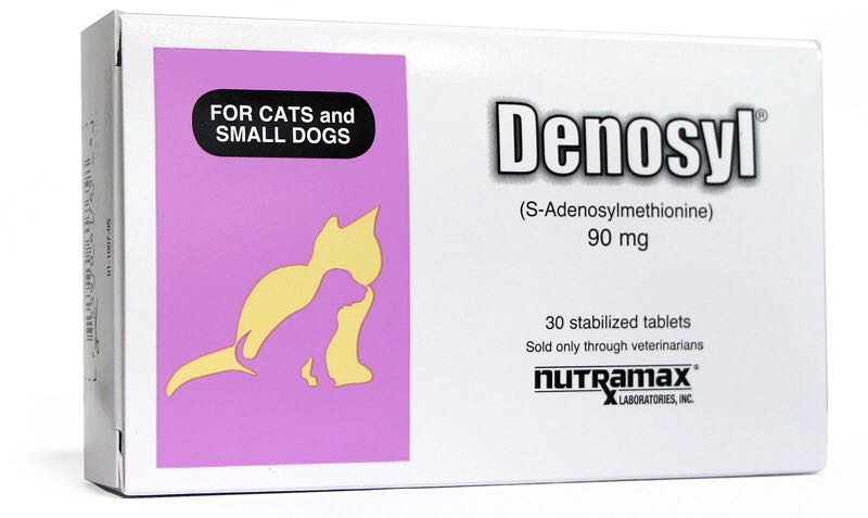 Denosyl top for cats
