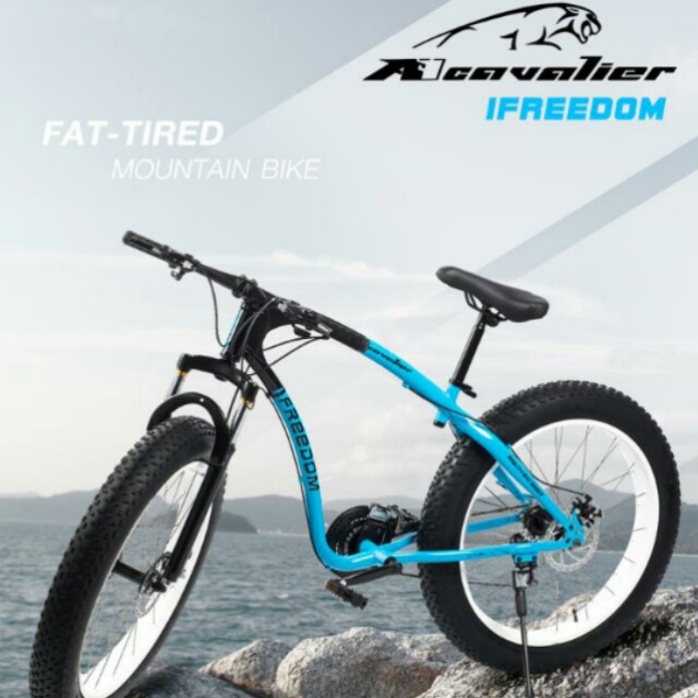 fat bike cavalier