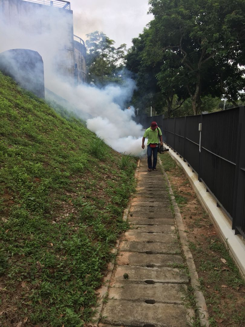 Pest Control Kawalan Berkesan Serangga Perosak Community On Carousell