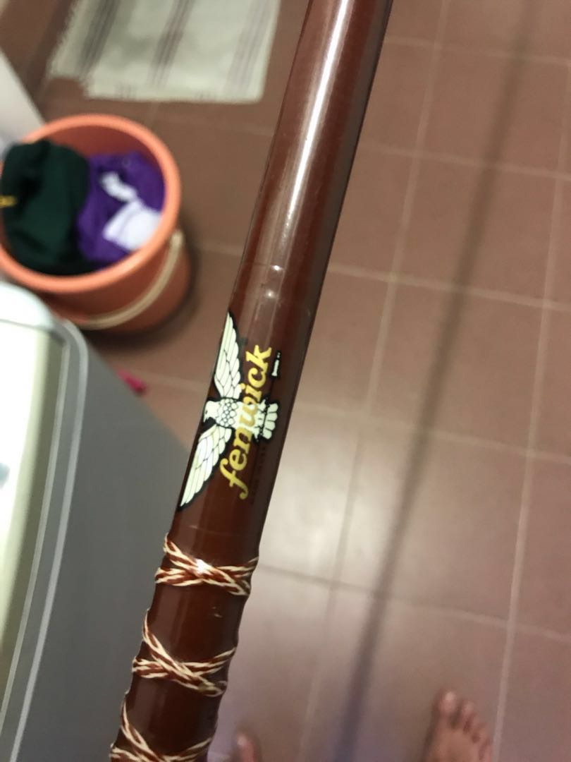 fenwick fishing rods