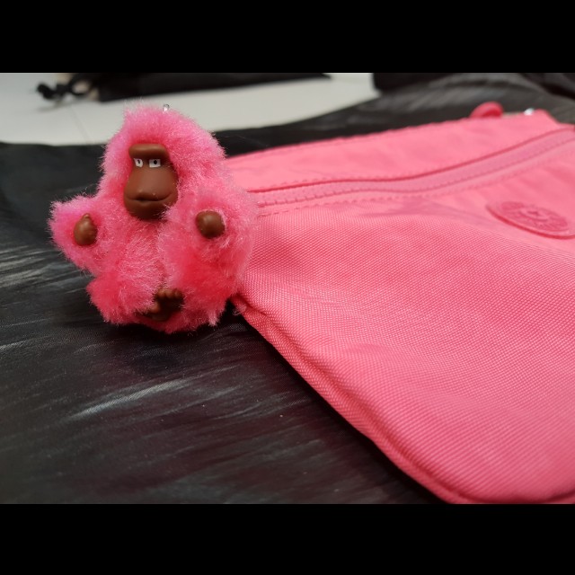 Kipling Pouch (Category: Purses & Pouches) located in Singapore. Submitted by etherealrose (Listing ID 160523640, Image 2). Description: This is a new item. I bought it on impulse and realised that there I have another pouch..