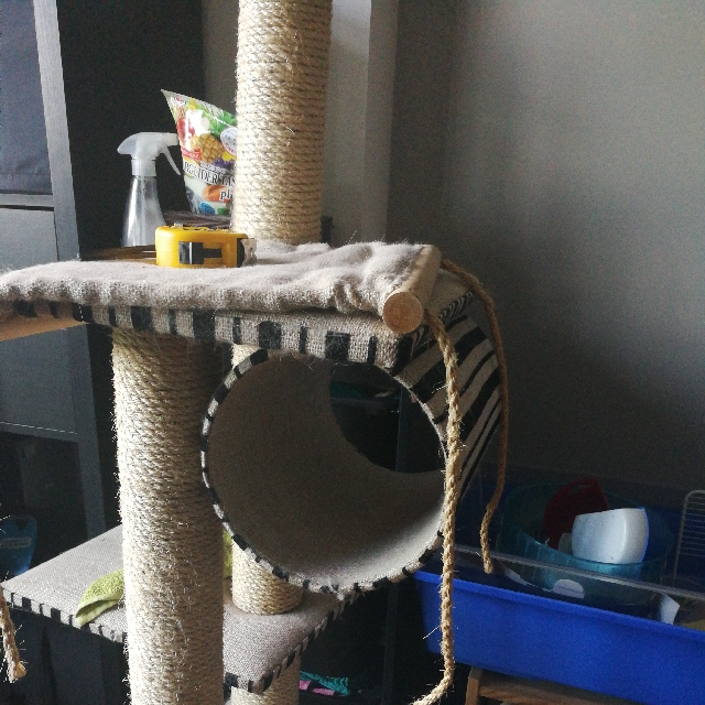 Used Cat Tree, Pet Supplies, Homes & Other Pet Accessories on Carousell
