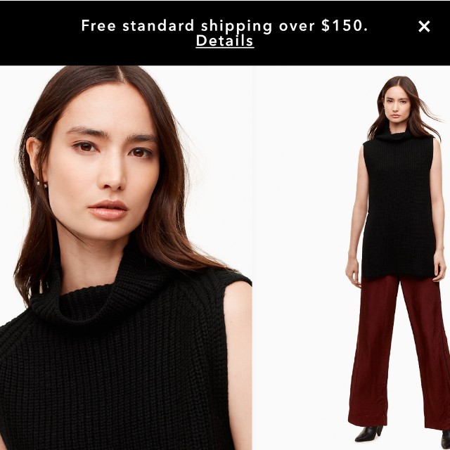aritzia durandal sweater
