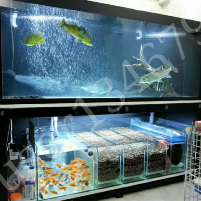 fish tank sump