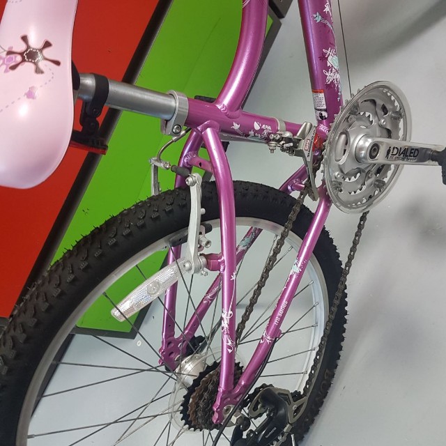 trek mt 220 girl pink