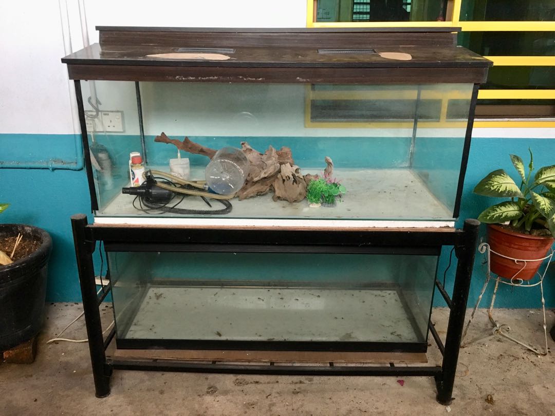 Aquarium 1 Set 2 Tanks Pet Supplies Pet Accessories On Carousell