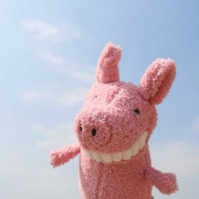 jellycat toothy pig