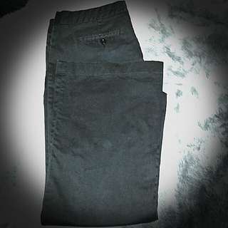 FORCAST black slacks s14