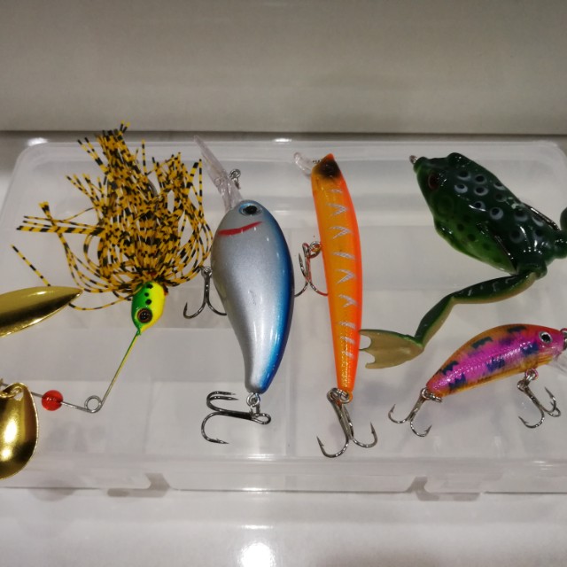 Gewang peacock bass