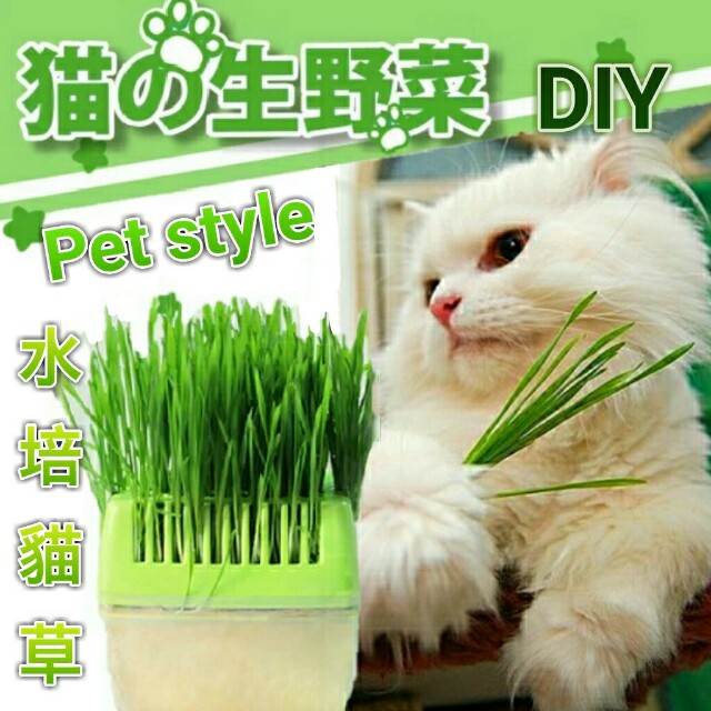 Pet Style 貓の生野菜 水培貓草打造屬於你與主子專屬農園 寵物用品 寵物食品在旋轉拍賣