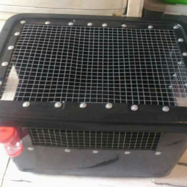 dog crate rabbit cage