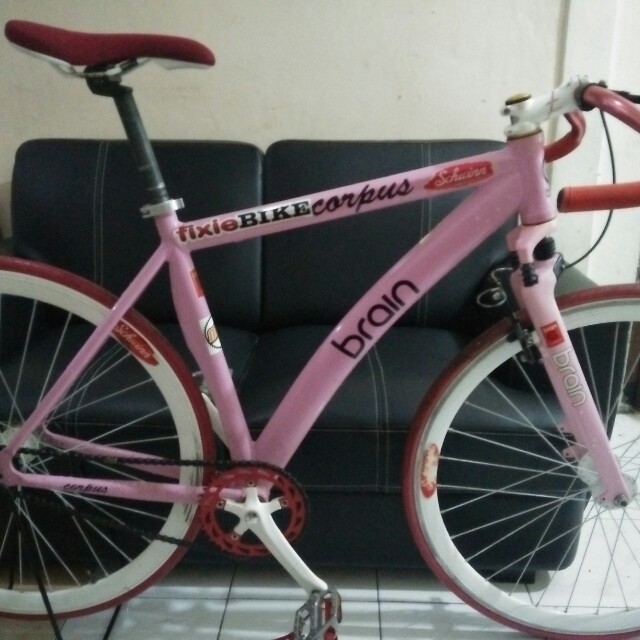 brain fixie