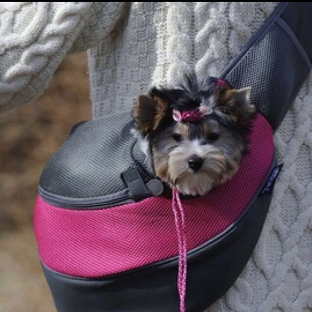 Wacky paws pet sling outlet