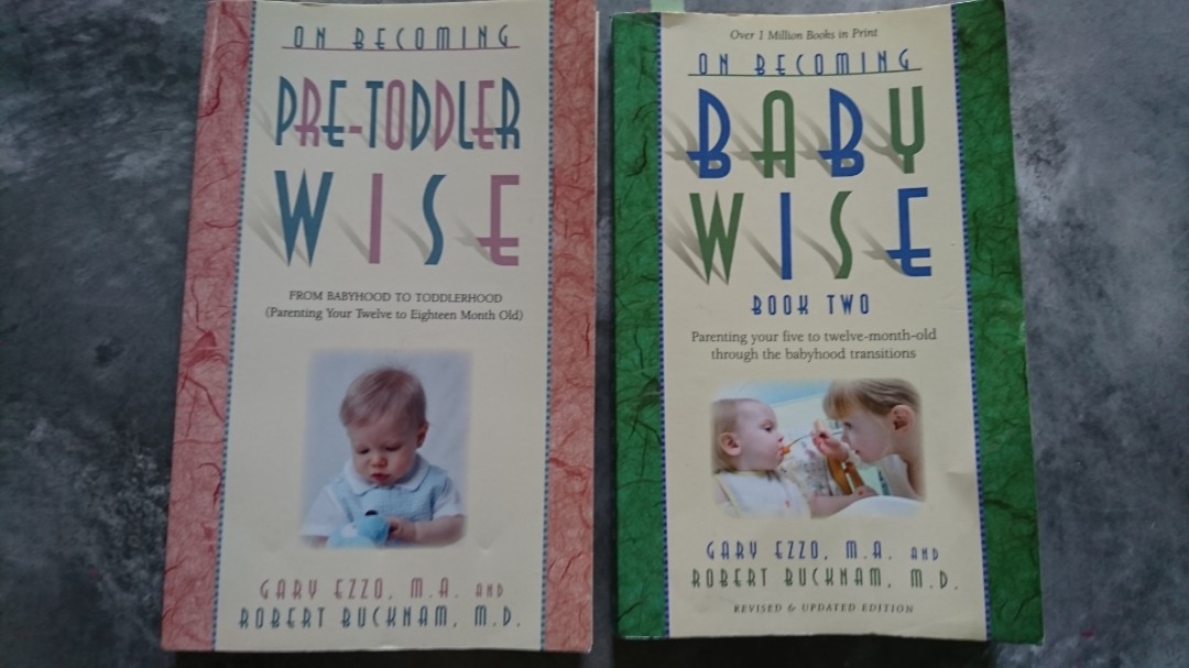 babywise book 2