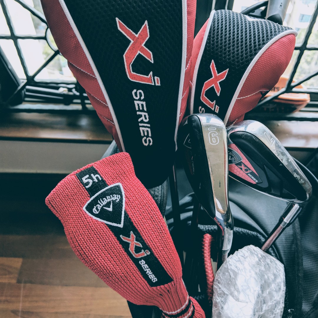 ping vault 2.0 dale anser platinum putter